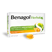 BENAGOL HERBAL MIELE 24PAST