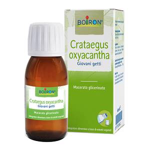 CRATAEGUS OXY BOI MG 60ML INT