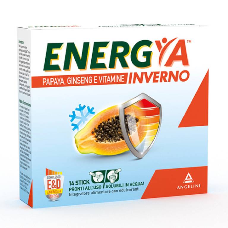 ENERGYA INVERNO 14 BUSTINE