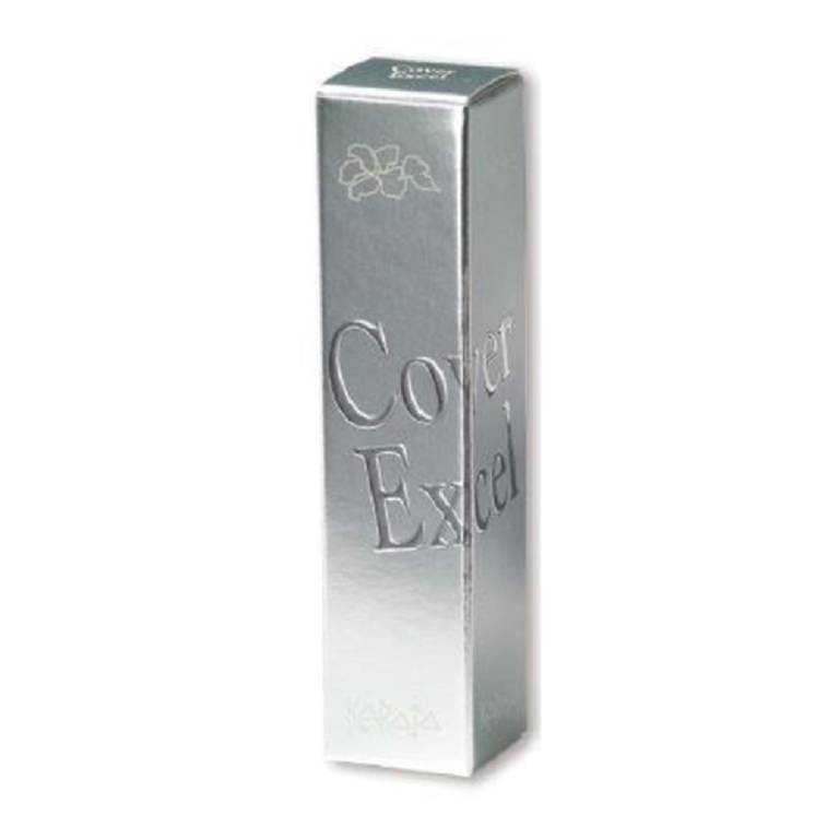 KARAJA COVER EXCEL 10