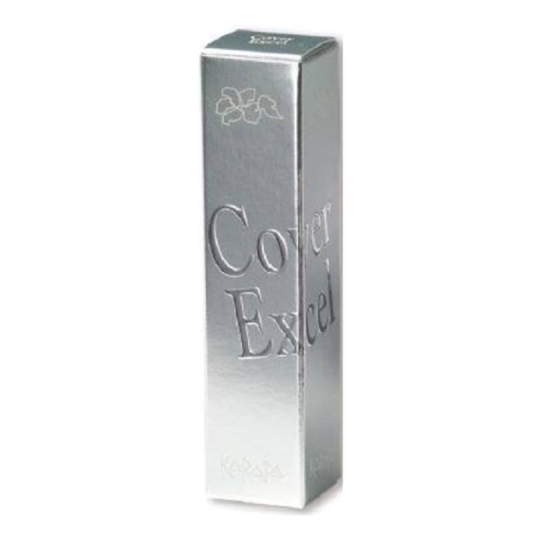 KARAJA COVER EXCEL 1