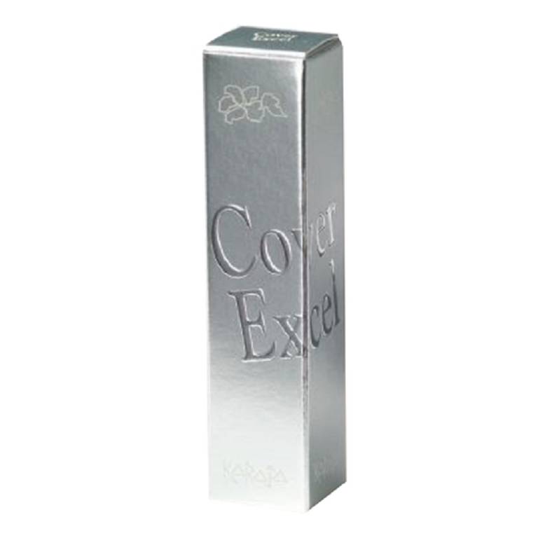 KARAJA COVER EXCEL 6